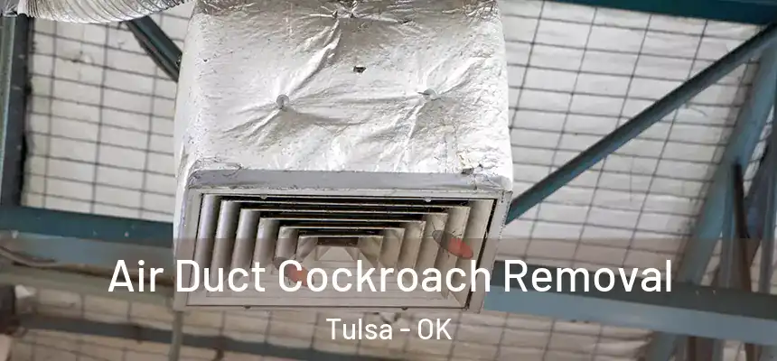 Air Duct Cockroach Removal Tulsa - OK