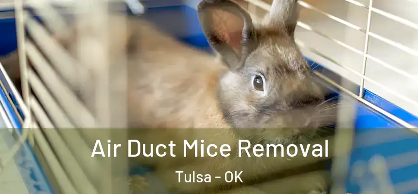 Air Duct Mice Removal Tulsa - OK