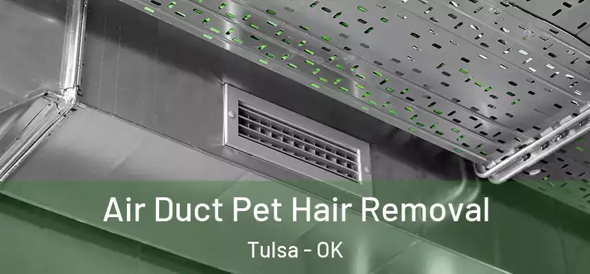 Air Duct Pet Hair Removal Tulsa - OK