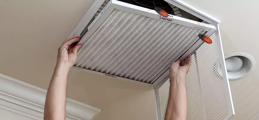 Our Insect Removal from Air Ducts Services in Tulsa, OK