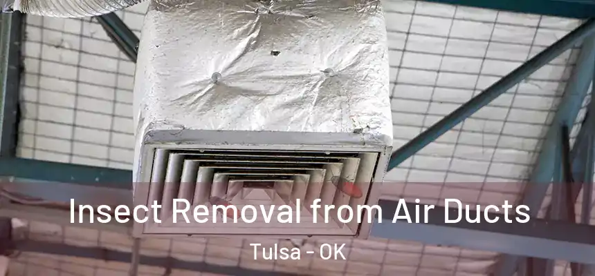 Insect Removal from Air Ducts Tulsa - OK
