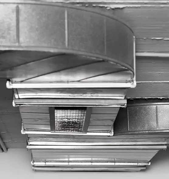 Professional Air Duct Pest Removal in Tulsa, OK