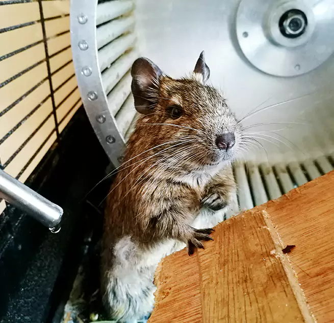 Why Homeowners & Businesses Trust Us Tulsa, OK?